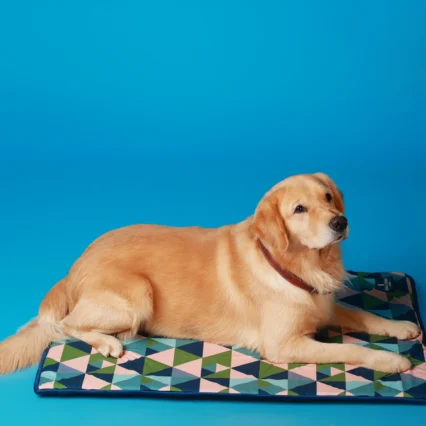 Pet Mat