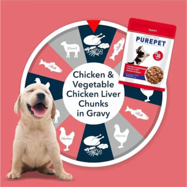 Purepet Wet Puppy Dog Food, Chicken and Vegetable Chunks in Gravy, 15 Pouches (15 x 70g) - Image 6
