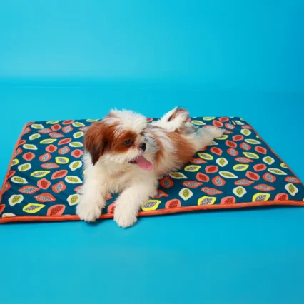 Pet Mat