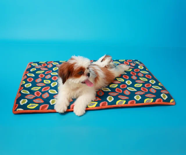 Pet Mat
