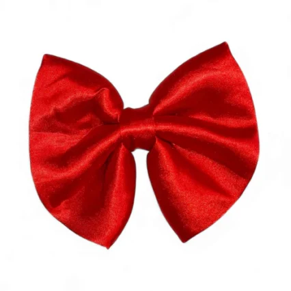 Pet Bow