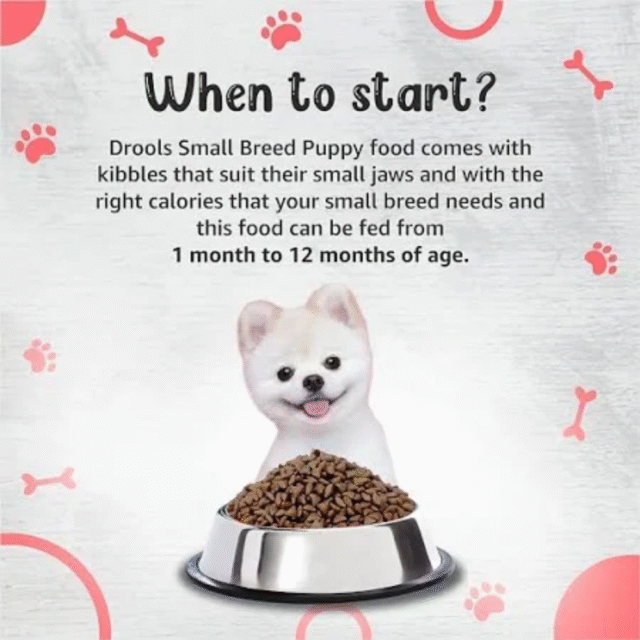 Drools Premium Small Breed Puppy Dog Dry Food - Image 5