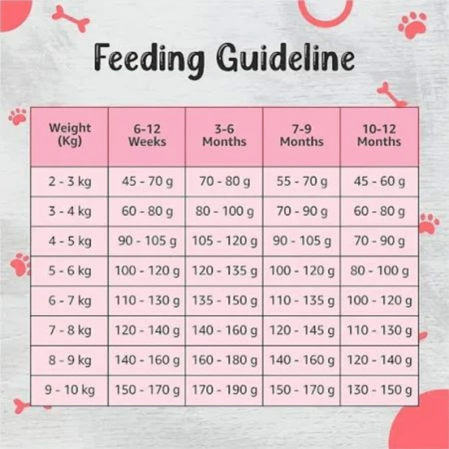 Drools Premium Small Breed Puppy Dog Dry Food - Image 4