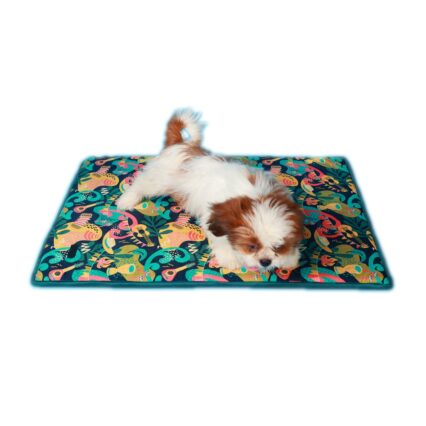 Pet Mat
