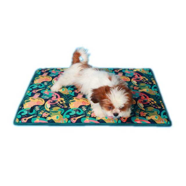 Pet Mat