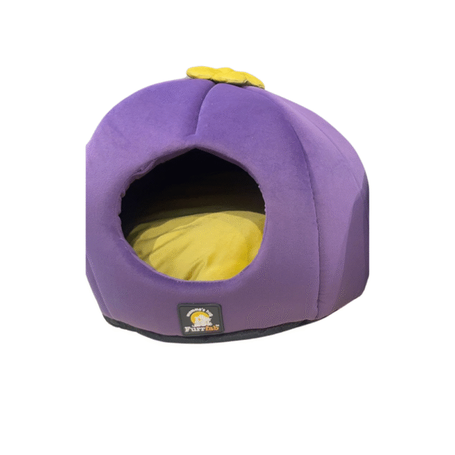 Cat House