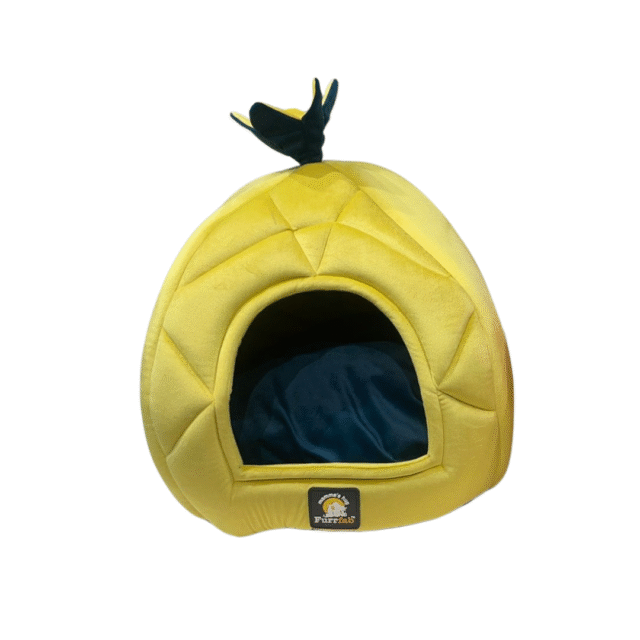 Cat House