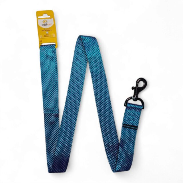 Dog Leash