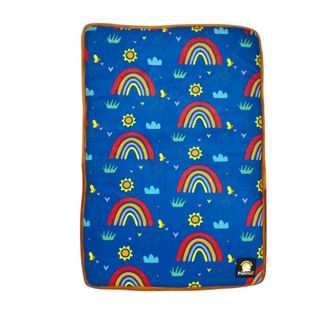 Rainbow Print Dog Mat