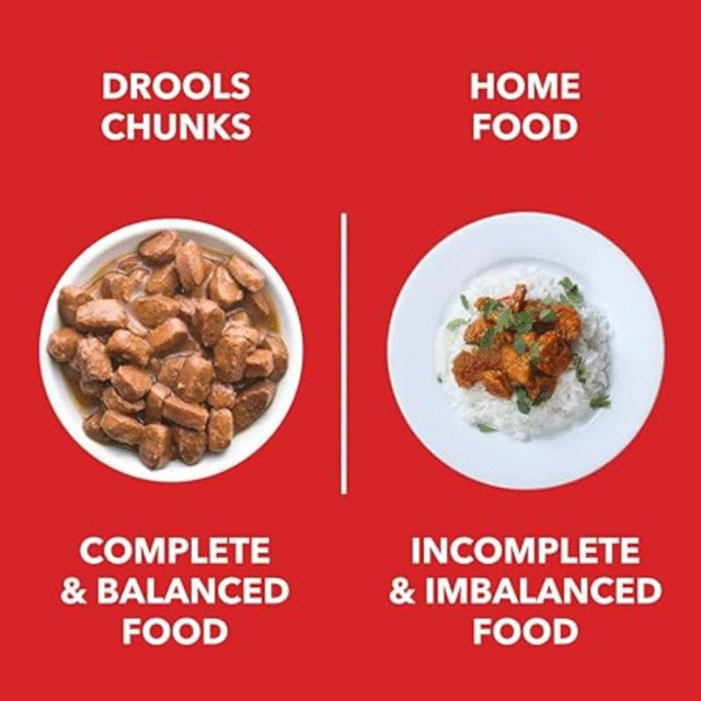 dog wet food