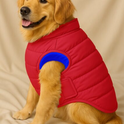 dog jacket