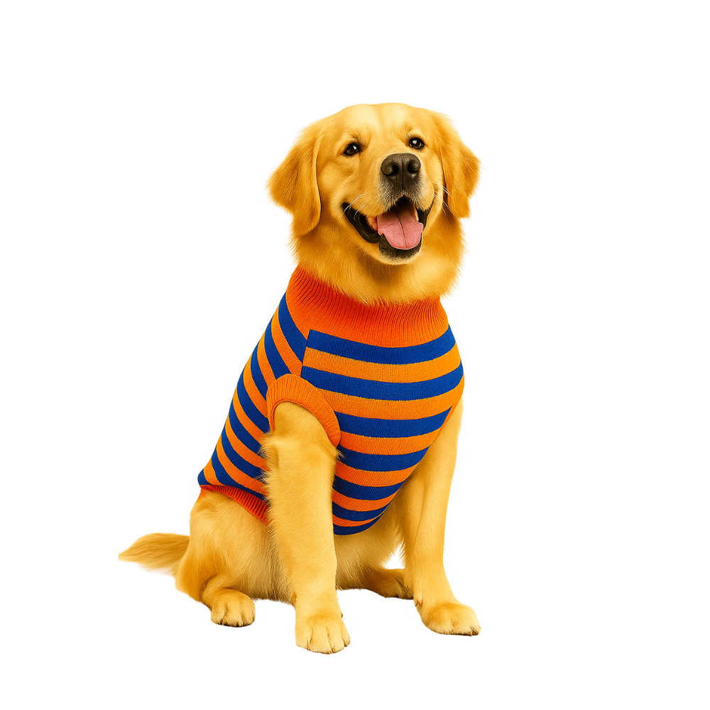 Furrfab Orange & Blue Dog Sweater For Winter