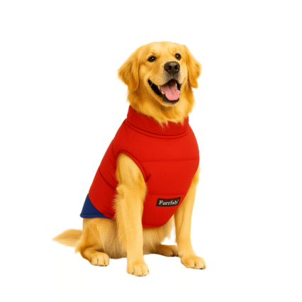 Furrfab Stylish Red Pet Winter Jacket for Dogs
