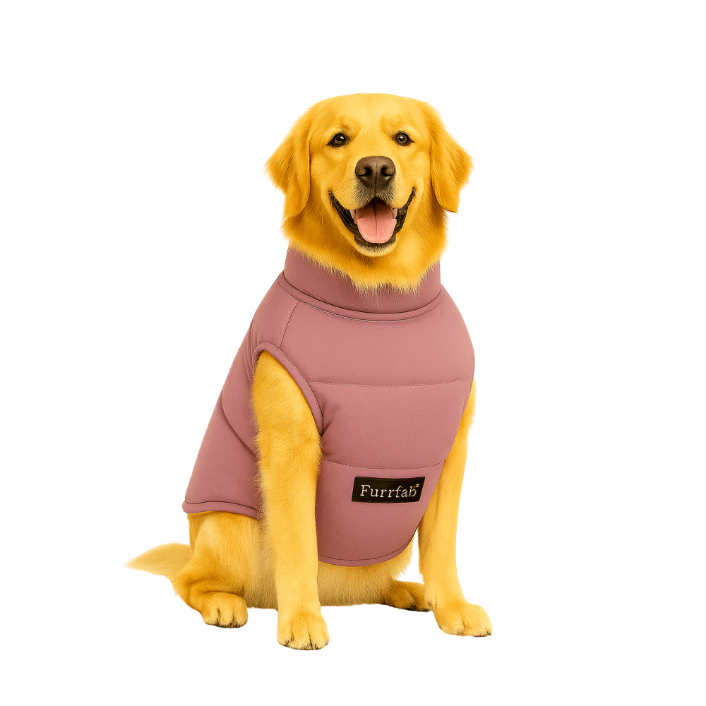 Furrfab Purple & Yellow Stylish Pet Jacket for Dogs
