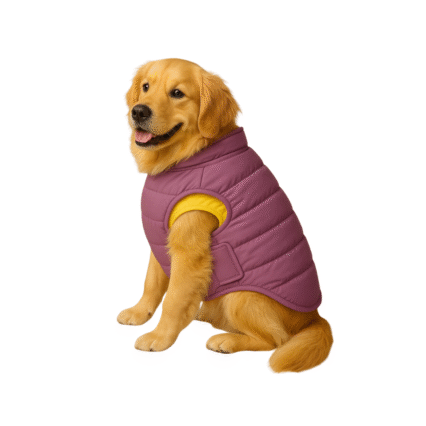 Furrfab Purple & Yellow Stylish Pet Jacket for Dogs
