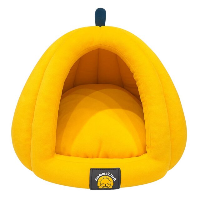 Cat House