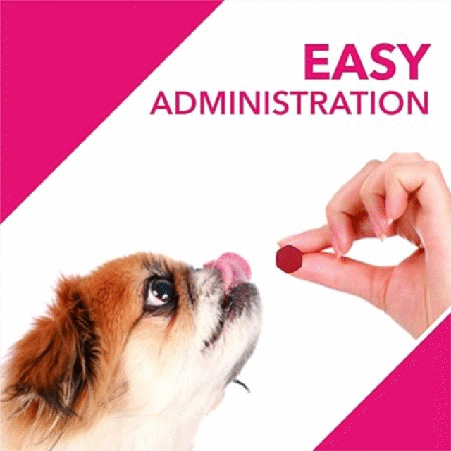 Drools Absolute Skin + Coat Tablet- Dog Supplement, 50 Pieces - Image 3