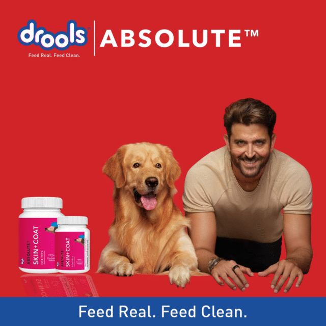 Drools Absolute Skin + Coat Tablet- Dog Supplement, 50 Pieces - Image 6