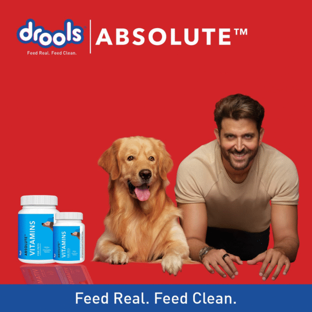 Drools Absolute Dog Supplement Tablet, Vitamin 400g 110 Pieces Jar - Image 6