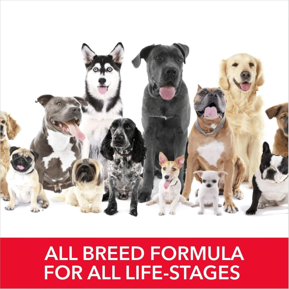 Drools Absolute Calcium Milk Bone for All Life Dogs Pouch, 20 Pieces Stages - Image 6