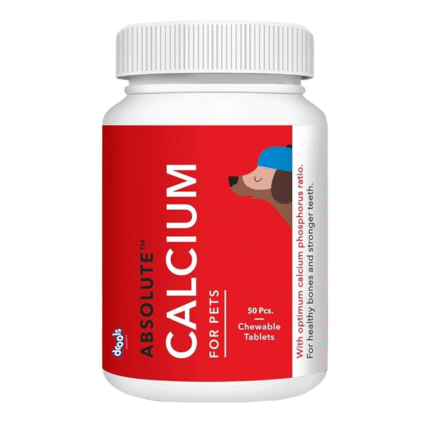 dog calcium tablet