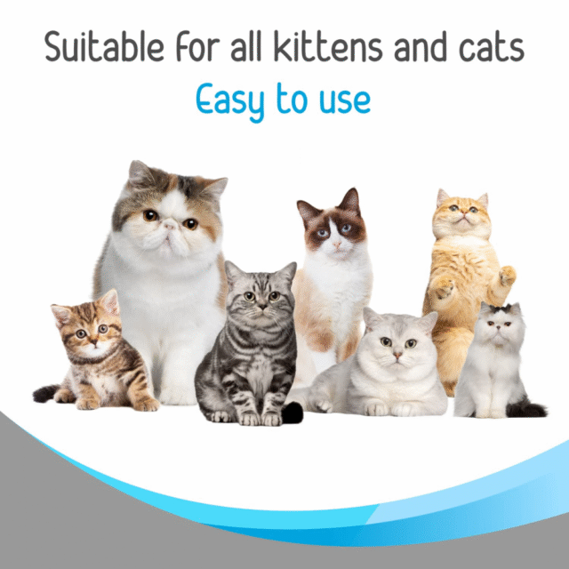 Drools Cat Complete Care Shampoo,200ml Pack - Image 6