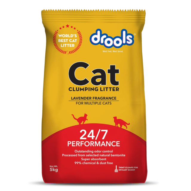 cat litter