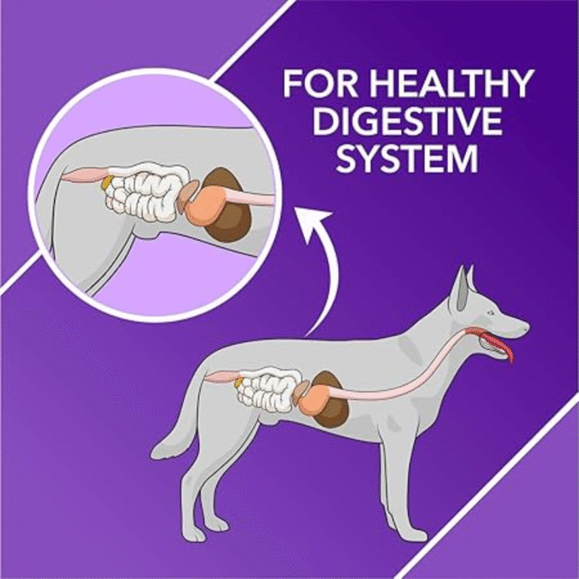 Drools Absolute Digestive Tablet- Dog Supplement, 110 Pieces - Image 3