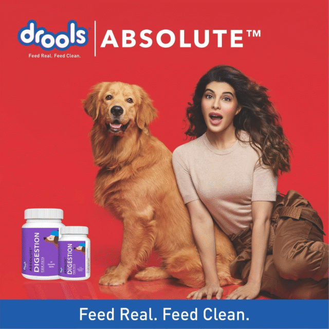 Drools Absolute Digestive Tablet- Dog Supplement, 110 Pieces - Image 6