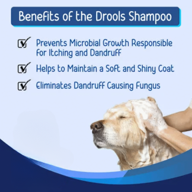 Drools Anti Dandruff and Itch Shampoo for Dogs- 200 ml - Image 3