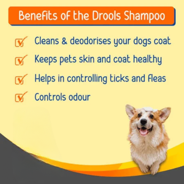 Drools Absolute Tick & Flea Shampoo for Dogs- 500 ml - Image 3