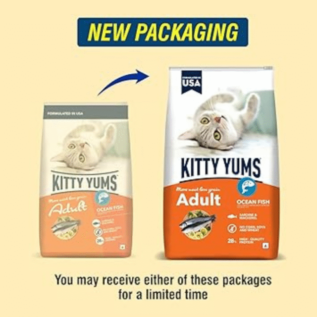 Kitty Yums Adult (+1 Year) Dry Cat Food, Ocean Fish, 7kg Pack - Image 2