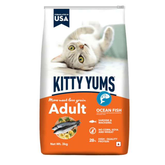 Cat dry adult