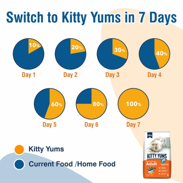 Kitty Yums Adult (+1 Year) Dry Cat Food, Ocean Fish, 7kg Pack - Image 5