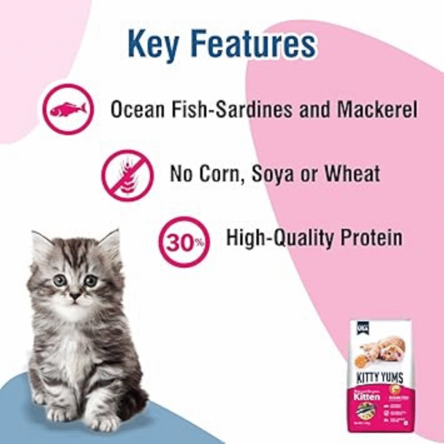 Kitty Yums Kitten Ocean Fish Dry Cat Food - 50g (Pack of 12) - Image 4