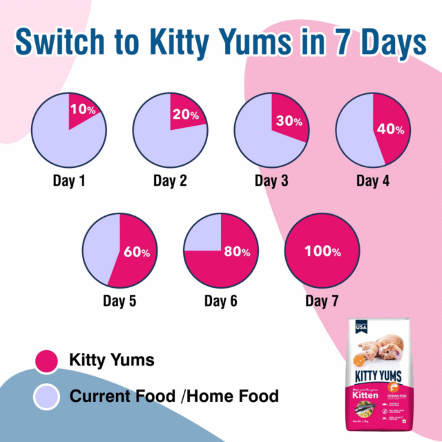 Kitty Yums Kitten Ocean Fish Dry Cat Food - 50g (Pack of 12) - Image 5