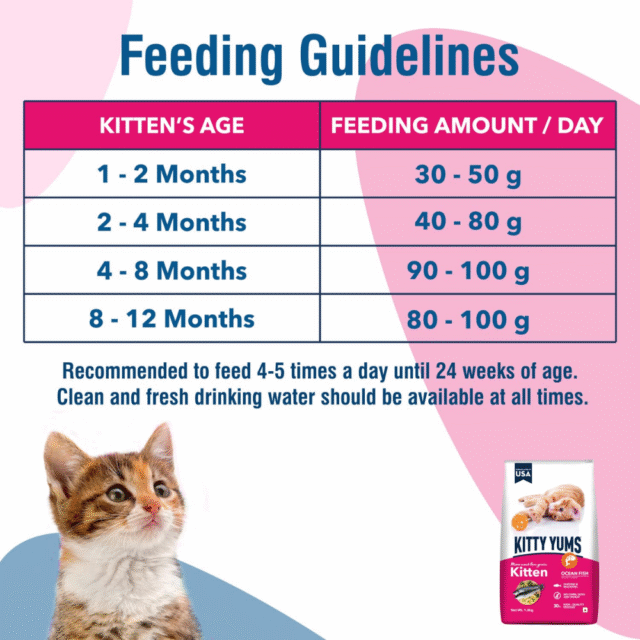 Kitty Yums Kitten Ocean Fish Dry Cat Food - 50g (Pack of 12) - Image 6