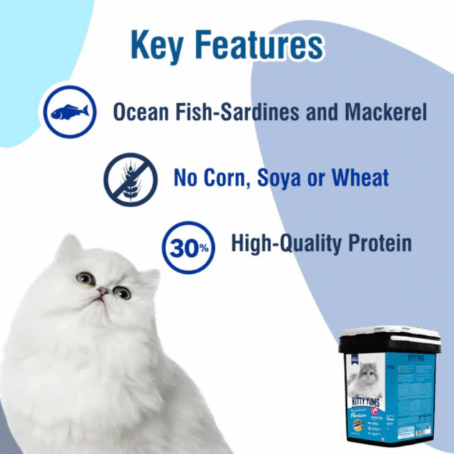Kitty Yums Persian Adult Dry Cat Food, Ocean Fish, 50g (Pack of 24) - Image 3