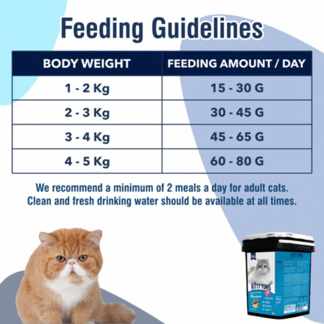 Kitty Yums Persian Adult Dry Cat Food, Ocean Fish, 50g (Pack of 24) - Image 4