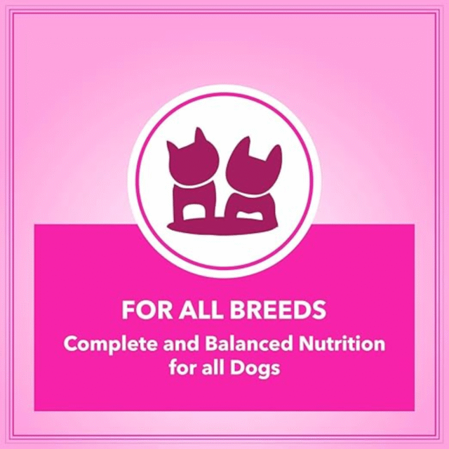 Let's Bite Active Adult Dry Dog Food- 10Kg - Image 5