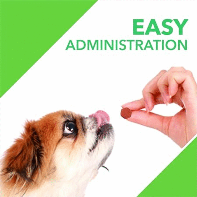 Drools Absolute Mobility Tablet - Dog Supplement,110 Pcs - Image 2