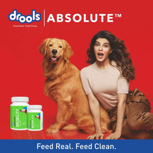 Drools Absolute Mobility Tablet - Dog Supplement,110 Pcs - Image 5