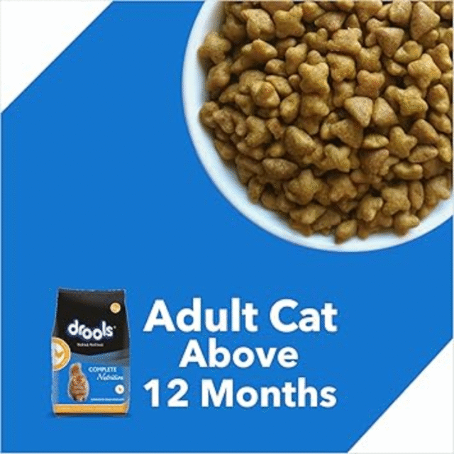 Drools Mackerel Adult Dry Food - for Adult Cat - Image 3