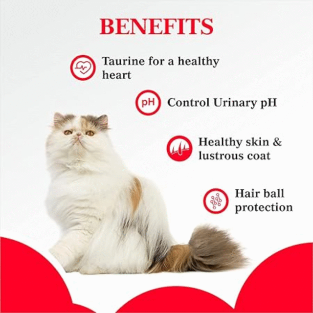 Purepet Persian Ocean Fish Cat Food for Adult, Pellet, 1.2 kg - Image 6