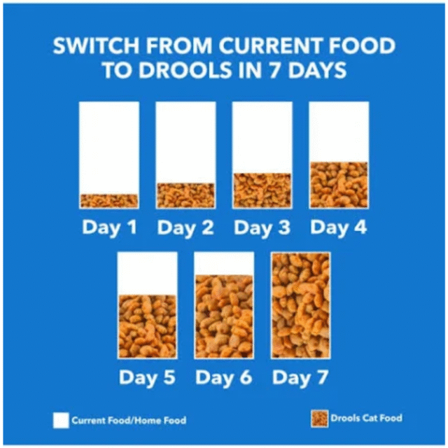 Drools Real Chicken Dry Food – For Cat 7Kg - Image 5