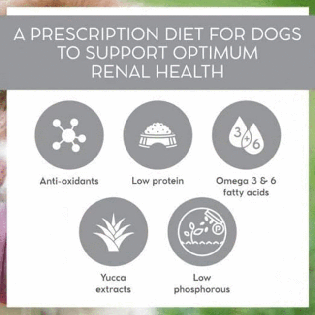 Vet Pro Renal Dog Food Supports Optimal Renal Health & Improves Kidney Function 8kg - Image 4