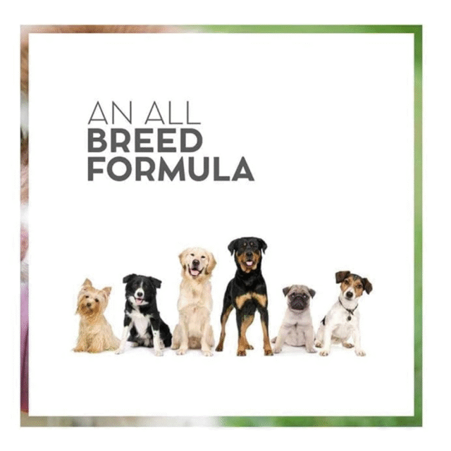 Vet Pro Hypoallergenic Dry Dog Food 1.2Kg - All Life Stages, Fish Flavor - Image 4