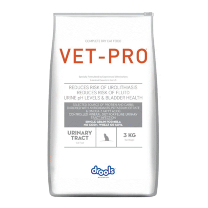 cat dry food