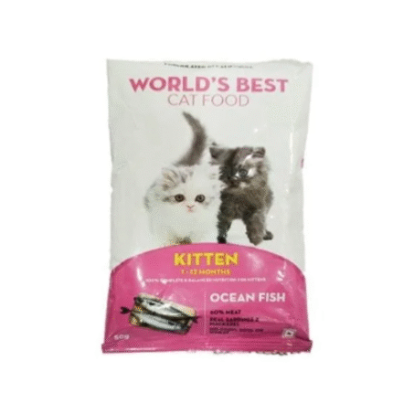 cat kitten dry food