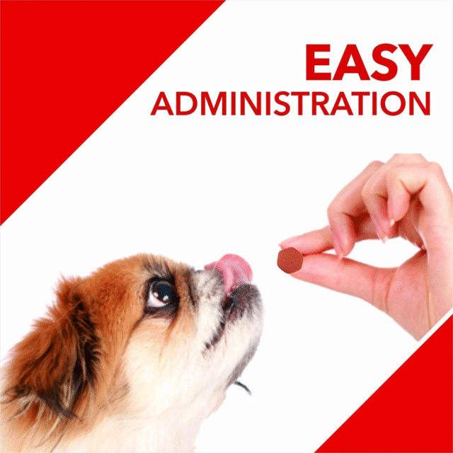 Drools Absolute Calcium Tablet- Dog Supplement, 50 Pieces - Image 3
